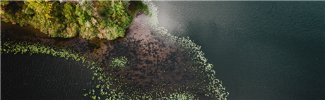 Banner Picture